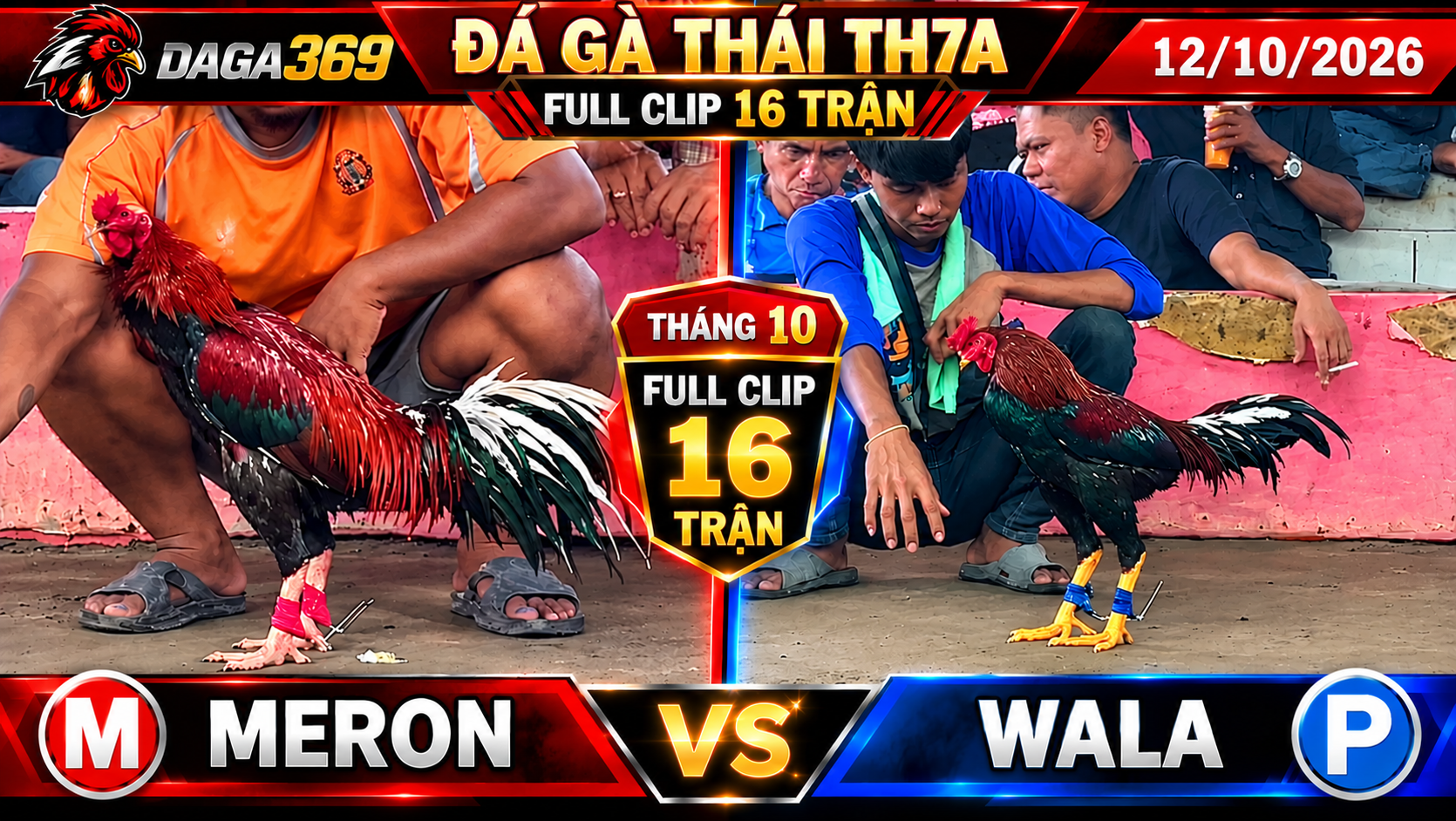 Video phát lại đá gà TH7A Thomo Campuchia full clip 12/10/2026