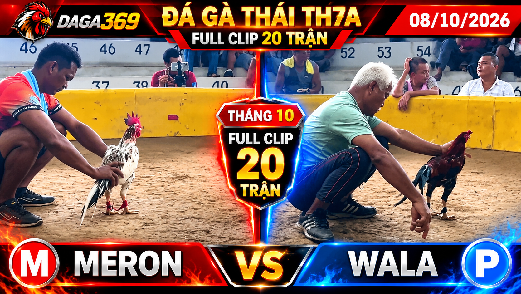 Đá Gà Thái TH7A Ngày 08/10/2026 – Video Phát Lại Full Clip 20 Trận
