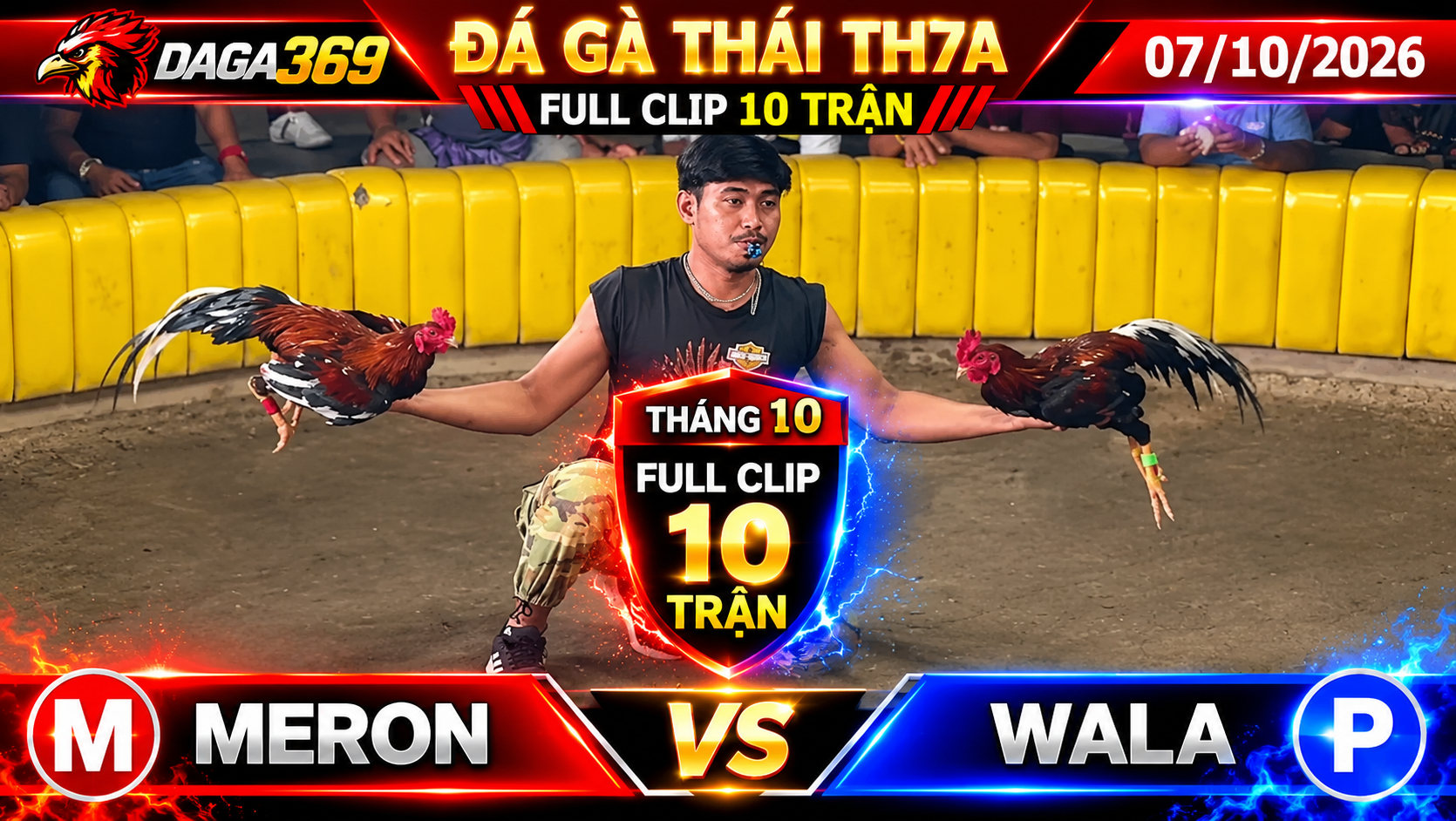 Đá Gà Thái TH7A Ngày 07/10/2026 – Video Phát Lại Full Clip 10 Trận Đấu
