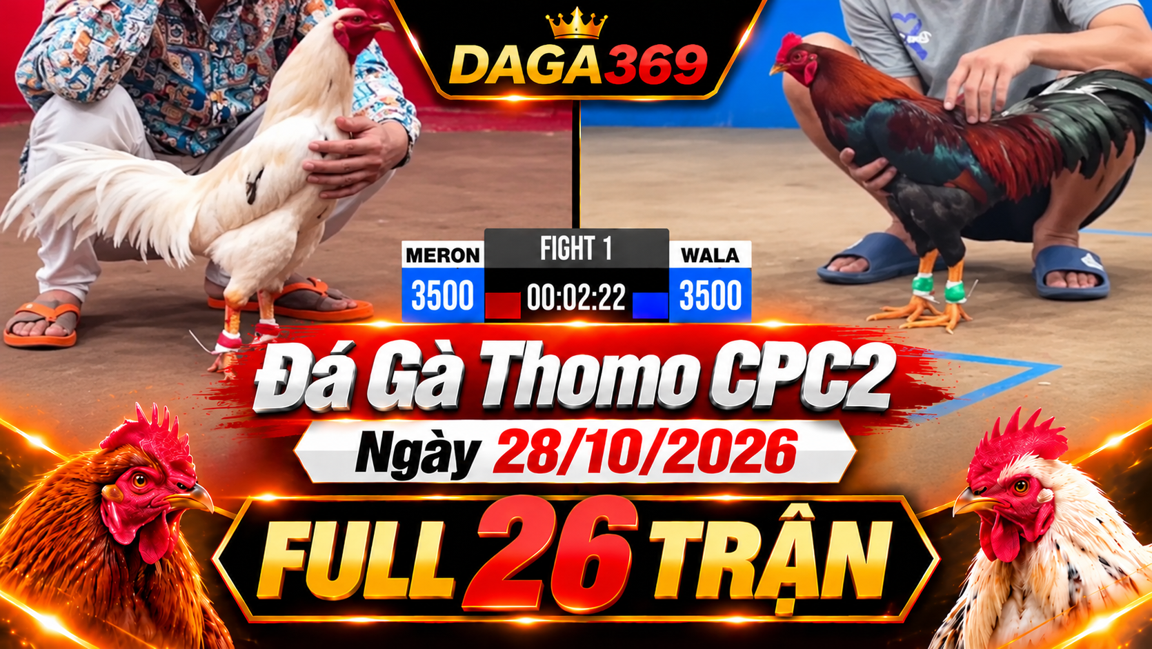 Đá Gà Thomo CPC2 Ngày 28/10/2026 – Full 26 Trận | DAGA369